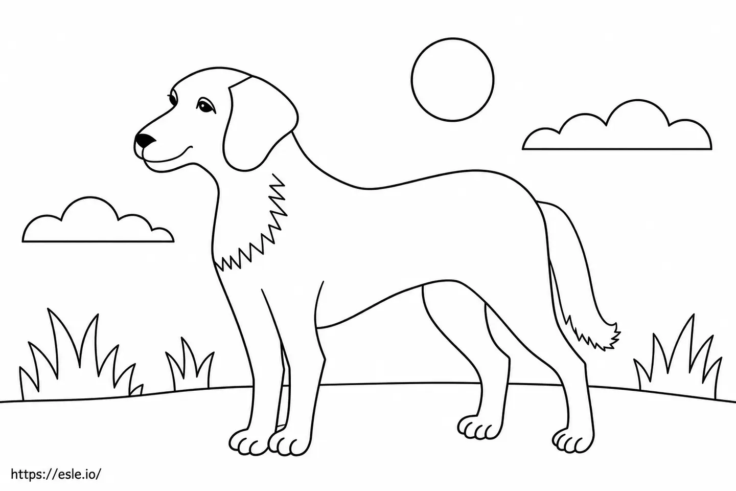 Cachorro em paisagem com contornos preto e branco para colorir